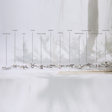 Sterrenbeeld Ring Zilver