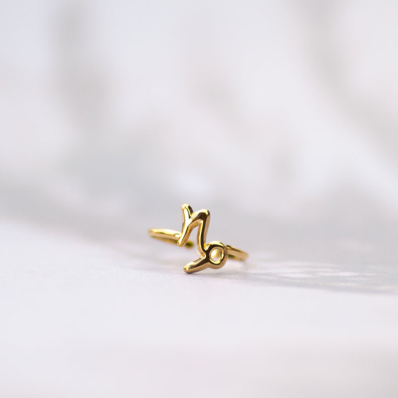 Sterrenbeeld ring goud Steenbok December januari