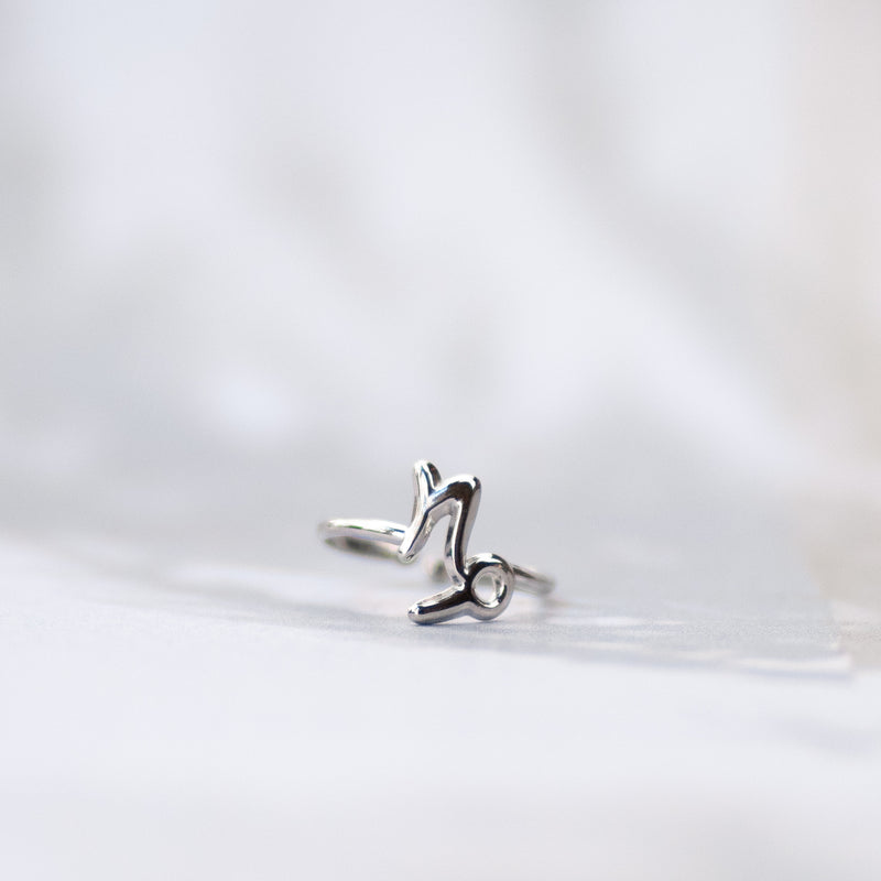 Sterrenbeeld Ring zilver Steenbok december januari Capricornus