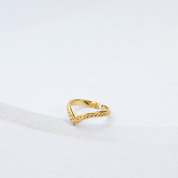Dubbele band ring goud met v-vormige punt