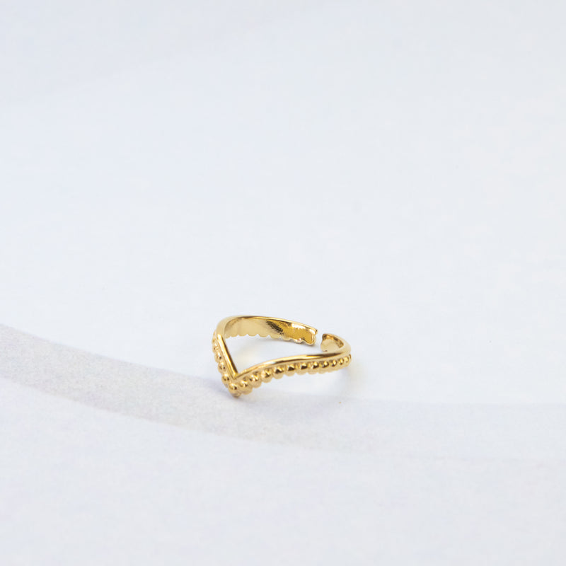 Dubbele band ring goud met v-vormige punt